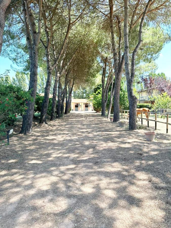 Turfrose Di San Rossore A Pisa By Zoom In Earth Exterior foto